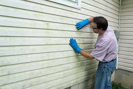 Best Vinyl Siding Installation  in Ralston, NE